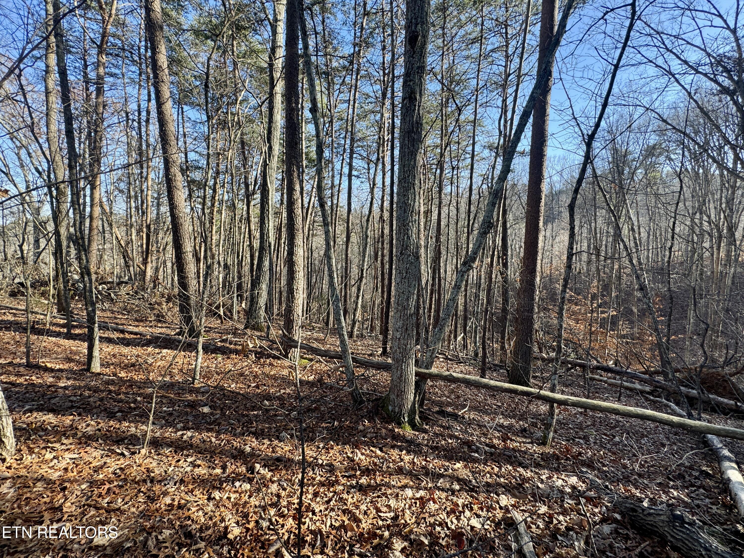 Gibson Hollow 2.33 Acres Road Sevierville TN 37876