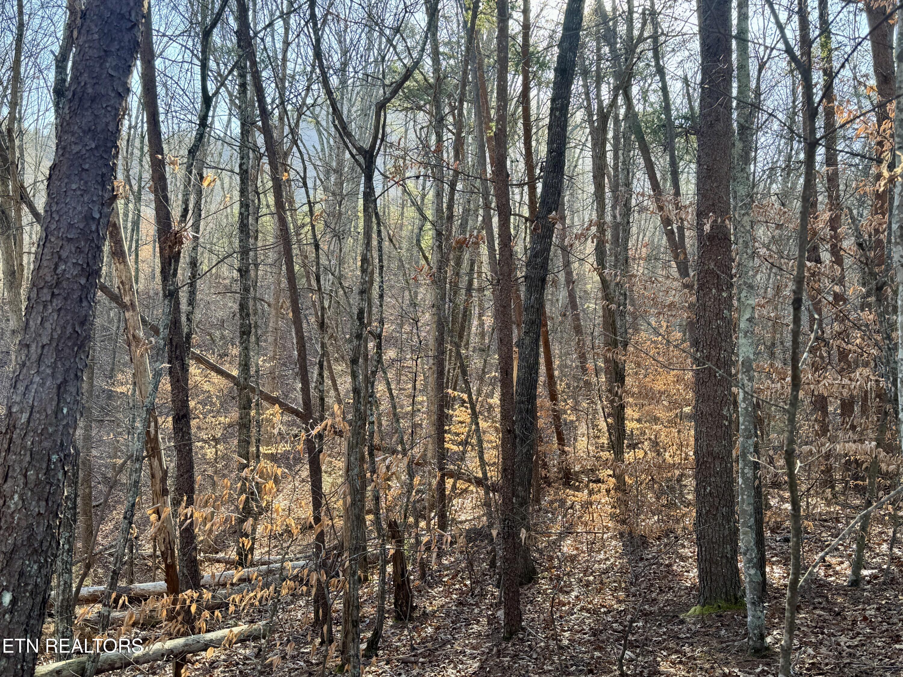 Gibson Hollow 2.33 Acres Road Sevierville TN 37876