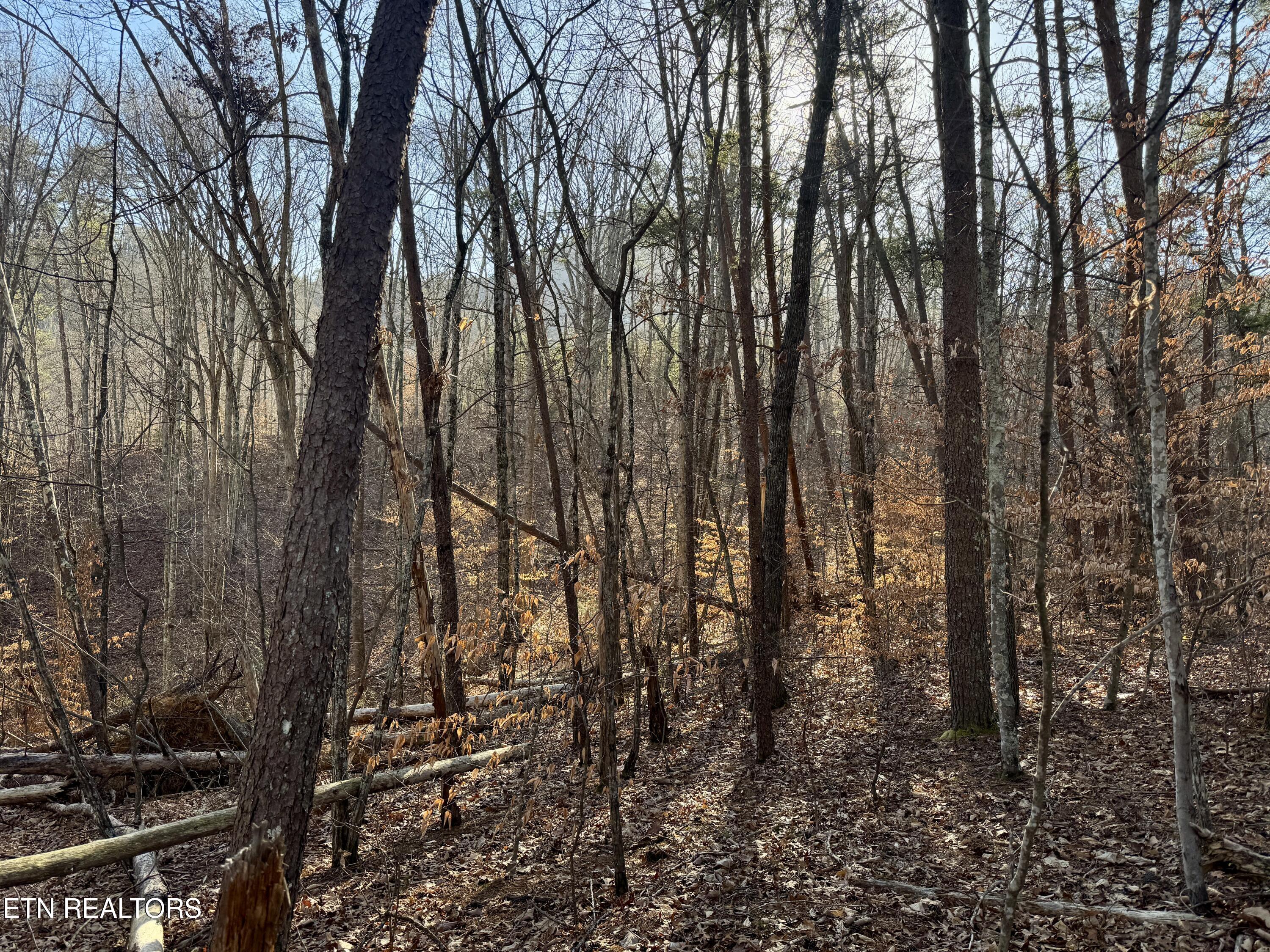 Gibson Hollow 2.33 Acres Road Sevierville TN 37876