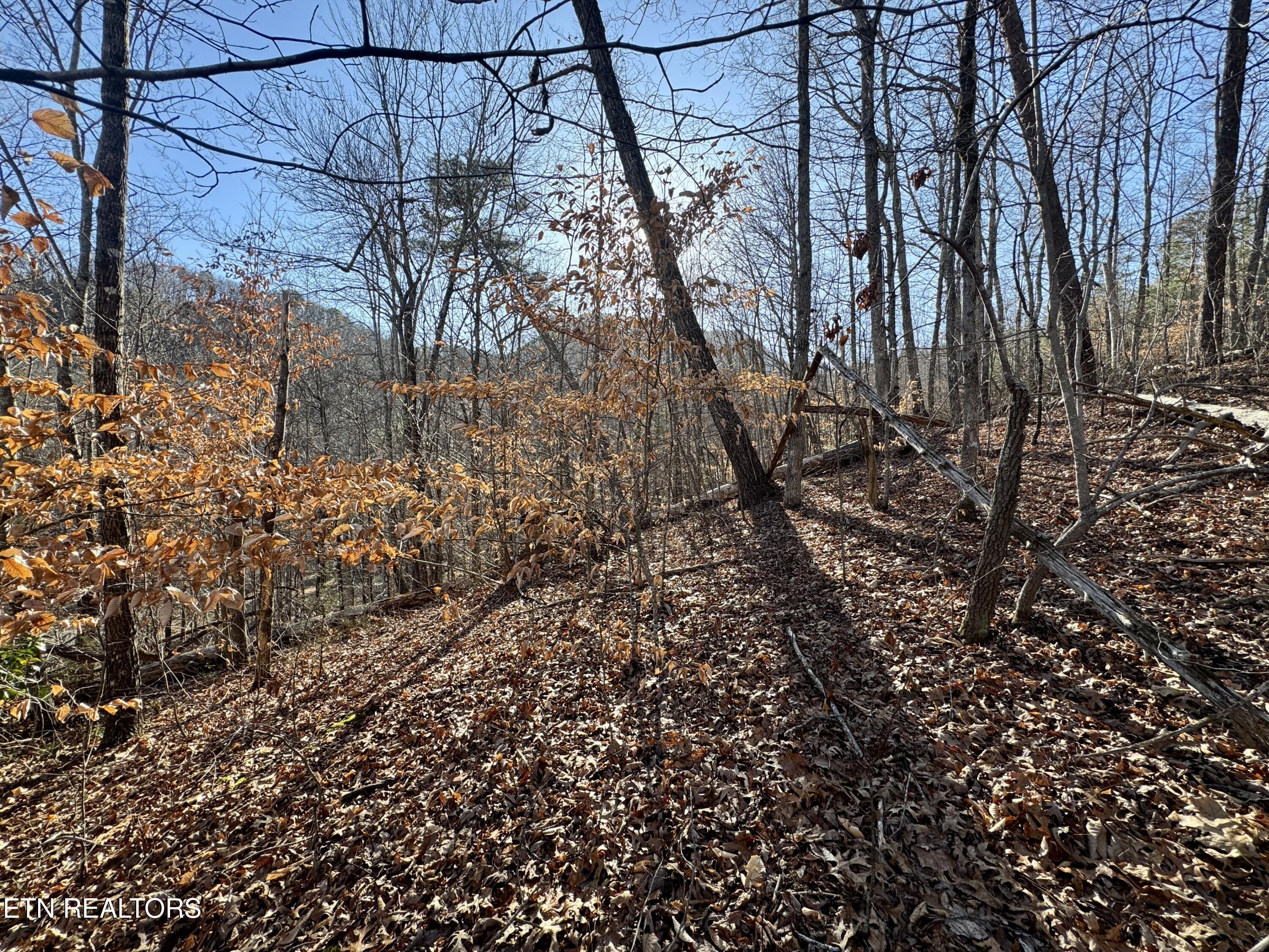 Gibson Hollow 2.33 Acres Road Sevierville TN 37876
