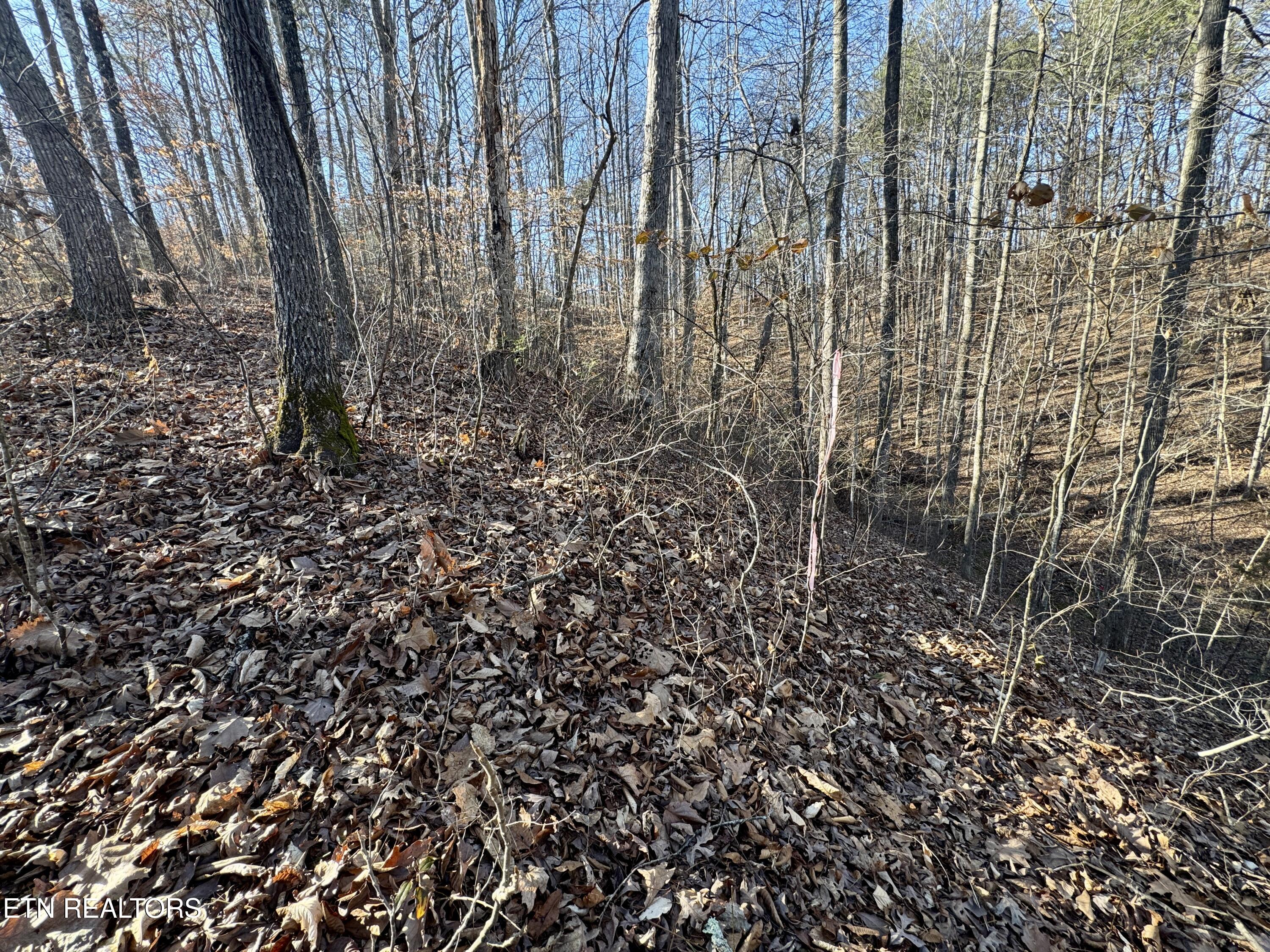 Gibson Hollow 2.33 Acres Road Sevierville TN 37876