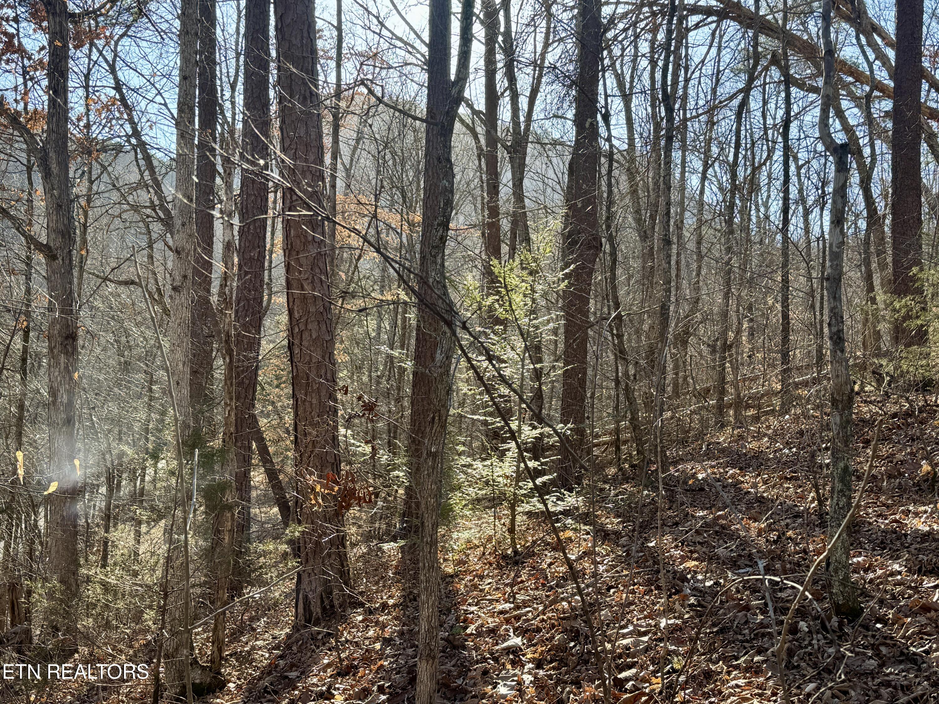 Gibson Hollow 2.33 Acres Road Sevierville TN 37876