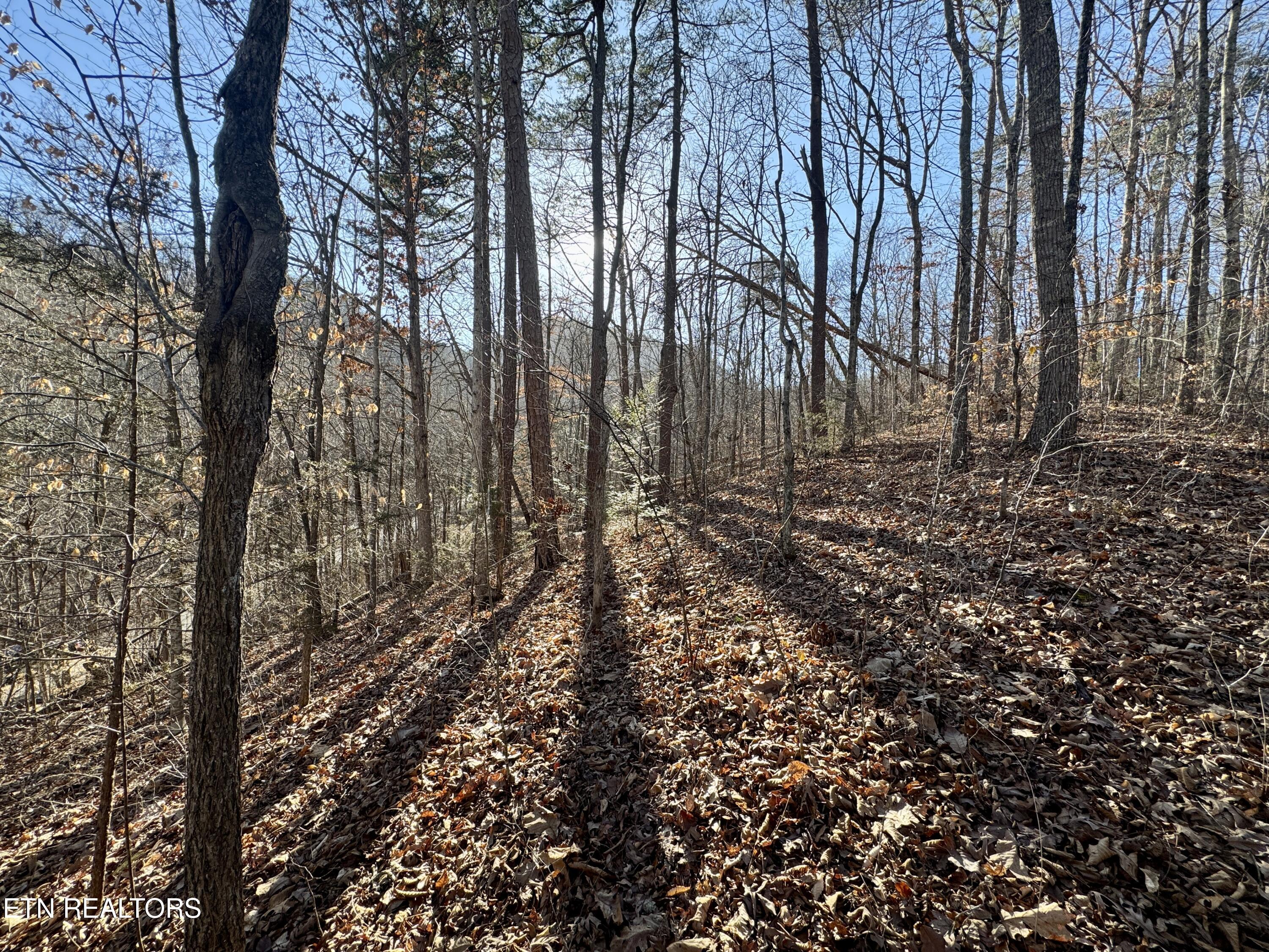 Gibson Hollow 2.33 Acres Road Sevierville TN 37876