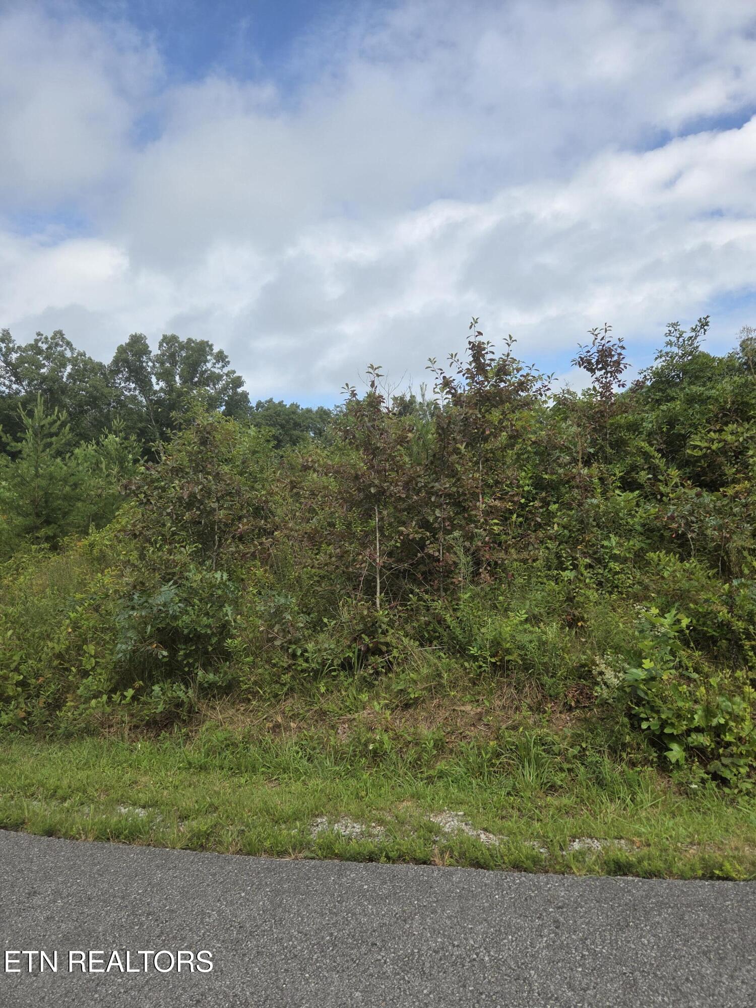 Frost Creek Drive Crossville TN 38571