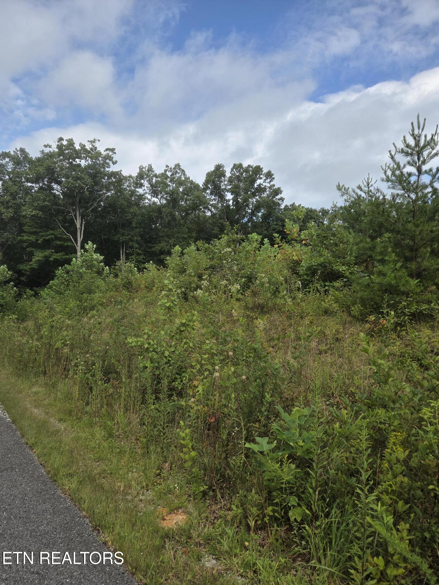 Frost Creek Drive Crossville TN 38571