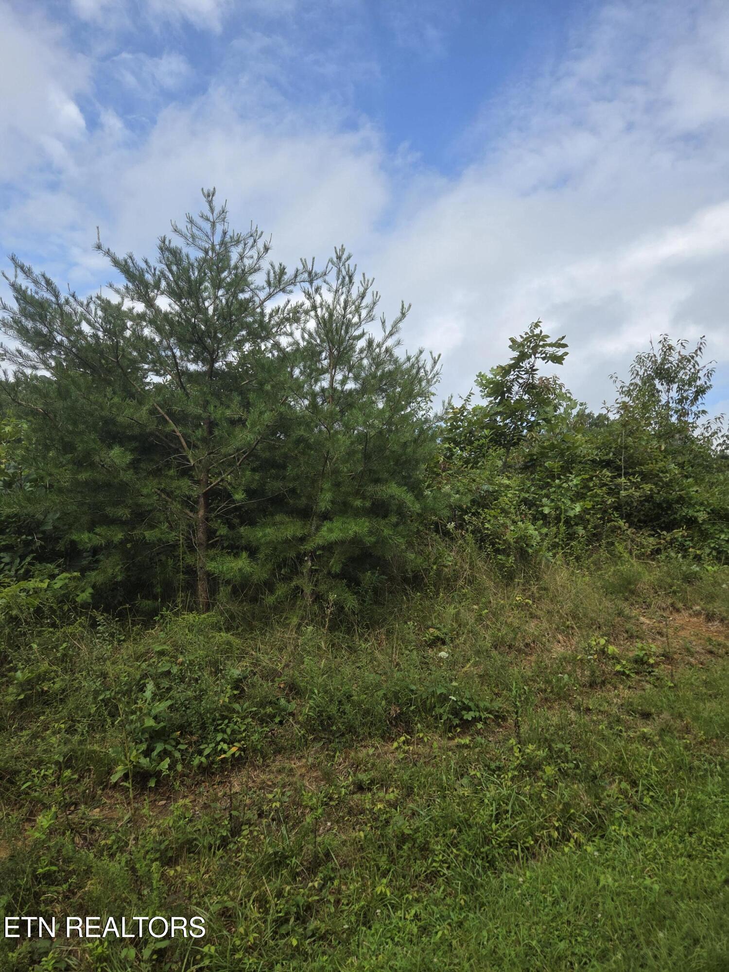 Frost Creek Drive Crossville TN 38571