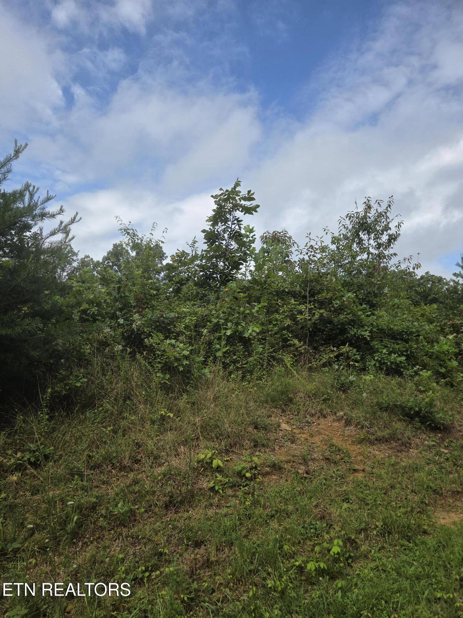 Frost Creek Drive Crossville TN 38571