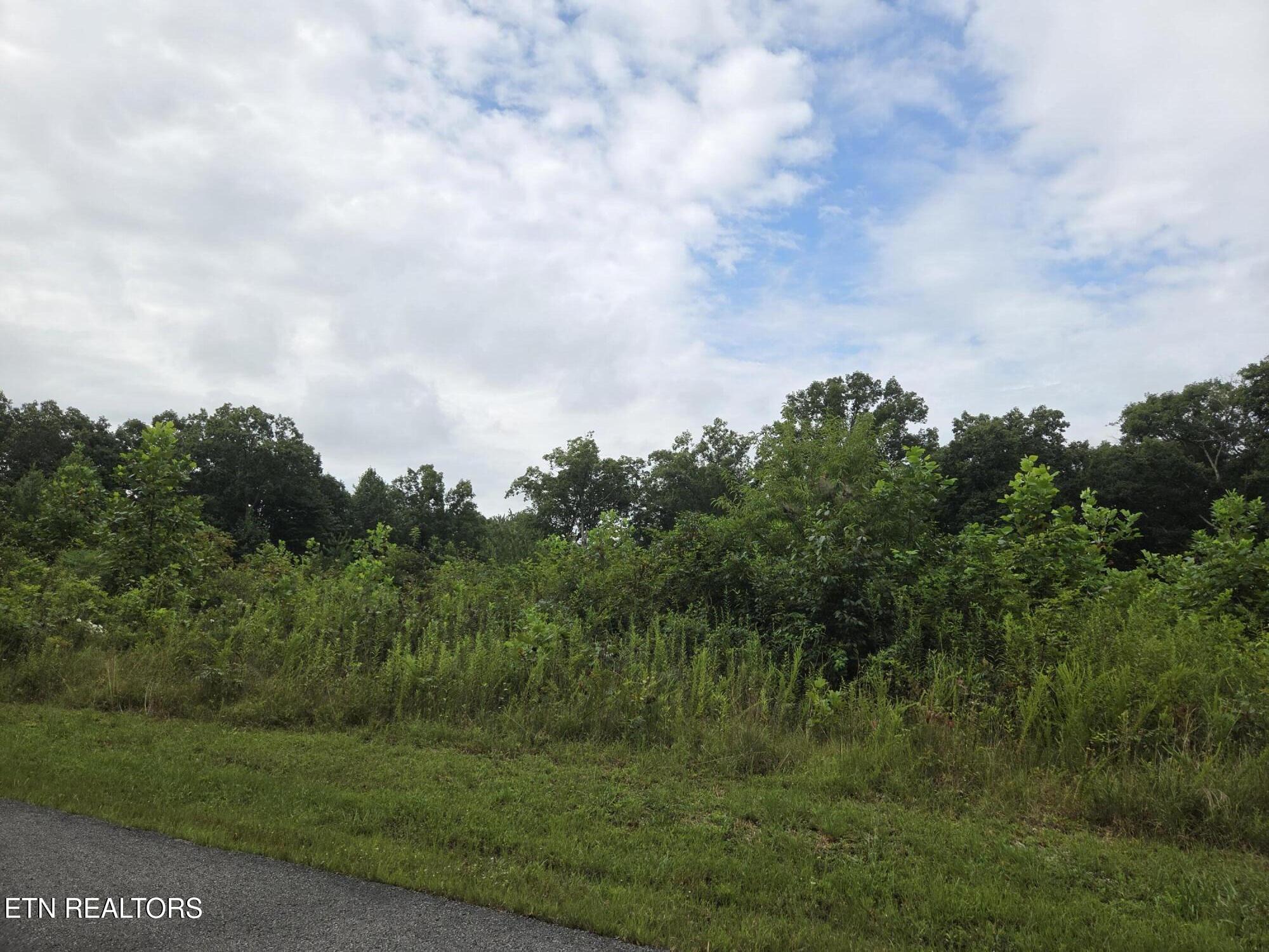 Frost Creek Drive Crossville TN 38571