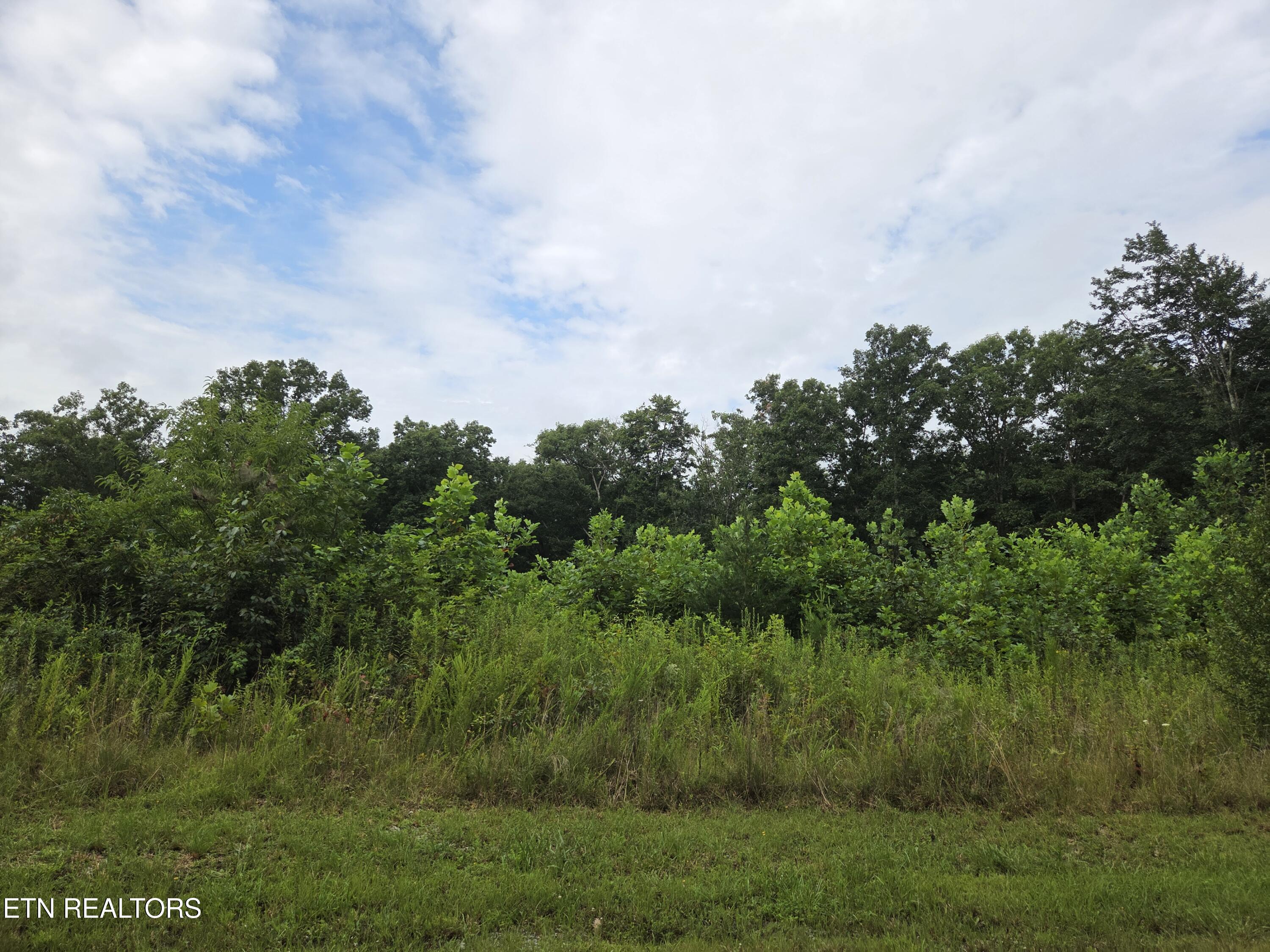 Frost Creek Drive Crossville TN 38571