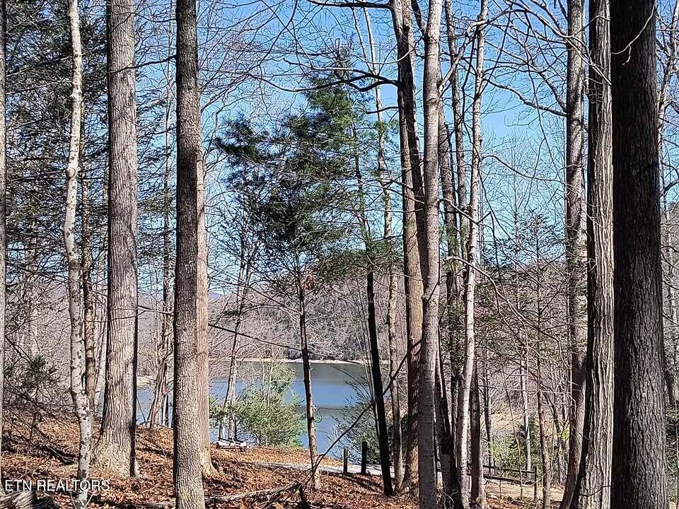 47 S Shorewood Drive Caryville TN 37714