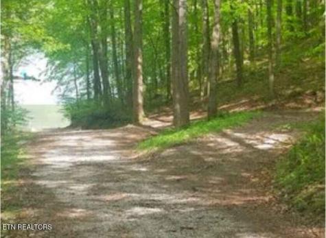 47 S Shorewood Drive Caryville TN 37714
