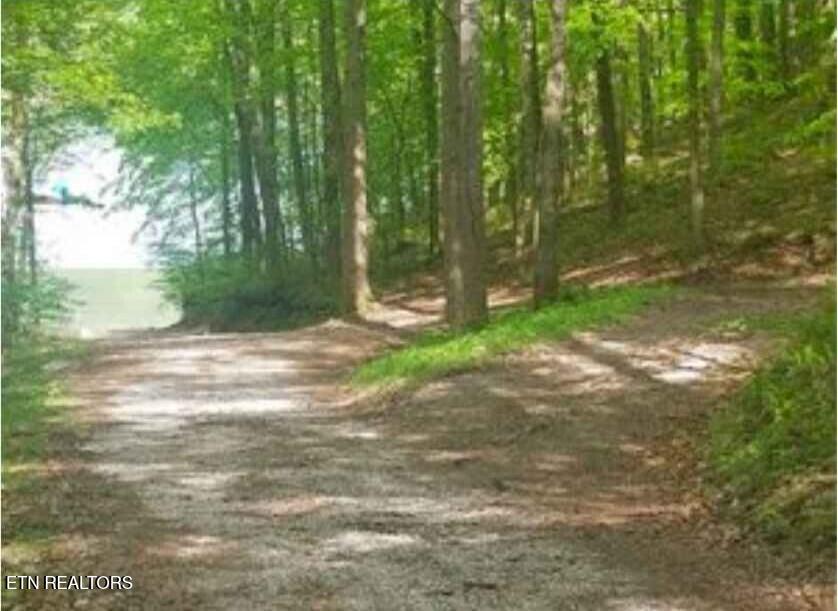 47 S Shorewood Drive Caryville TN 37714