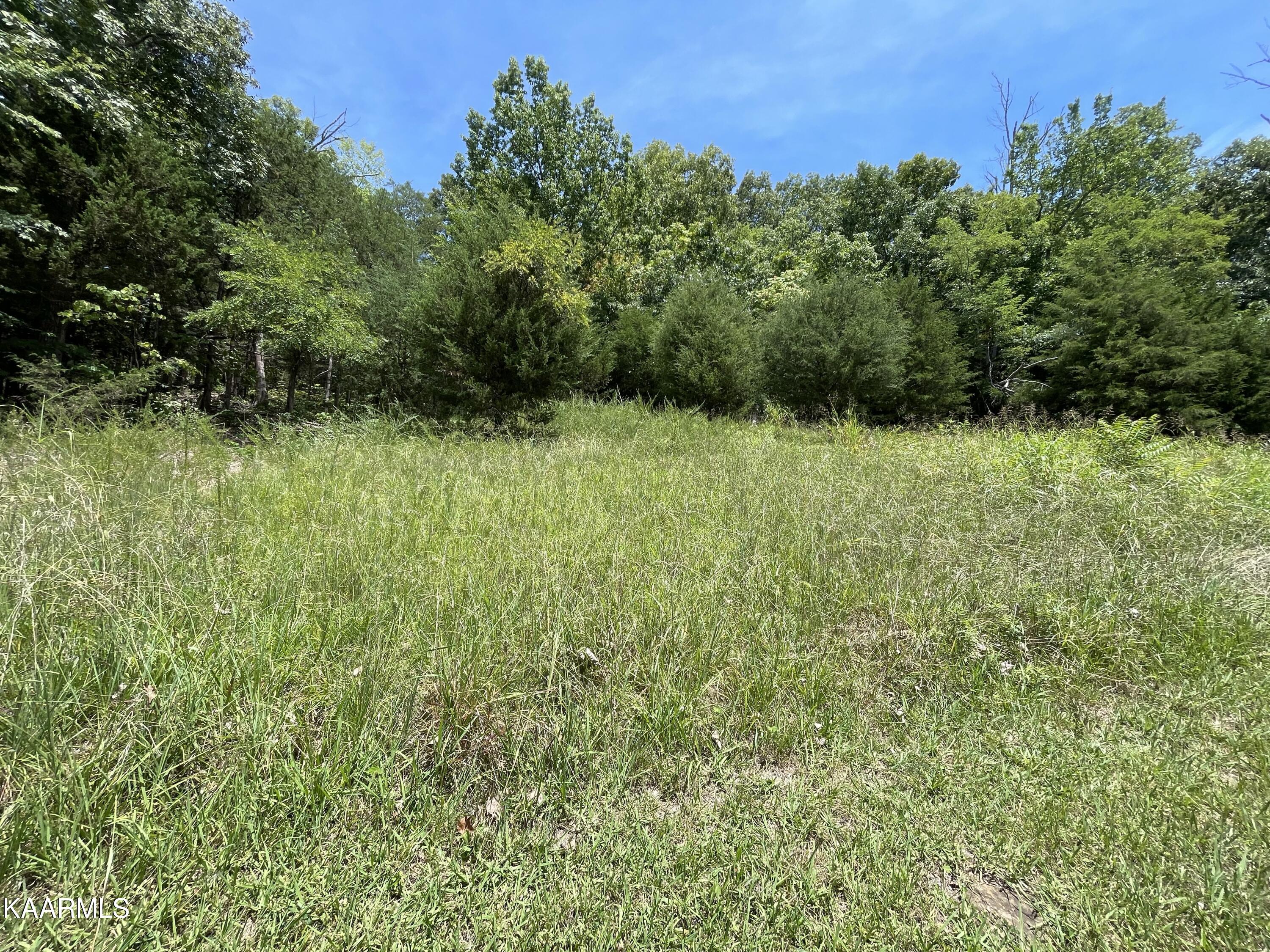 102 Lakeshore Way Newport TN 37821