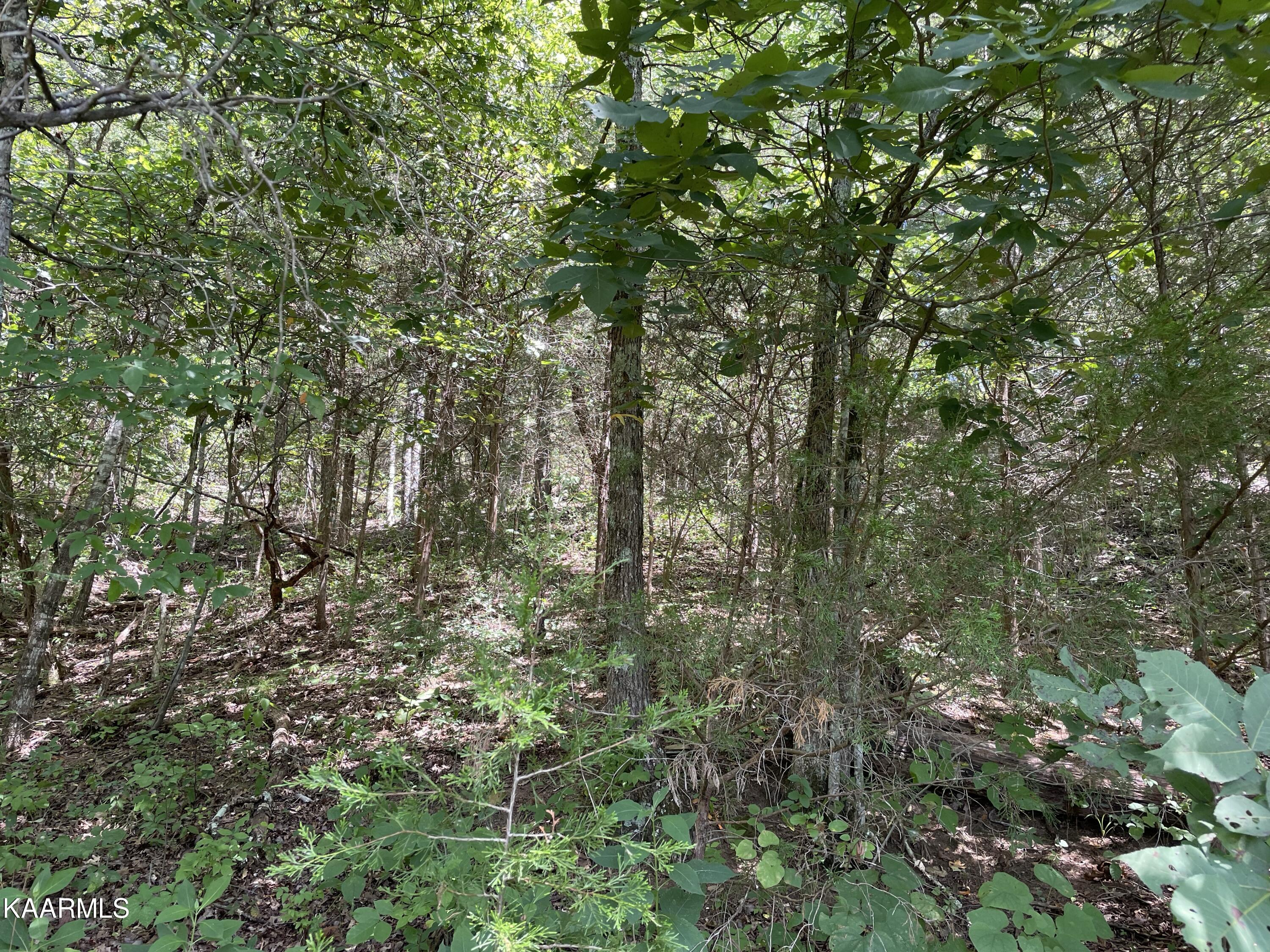 102 Lakeshore Way Newport TN 37821
