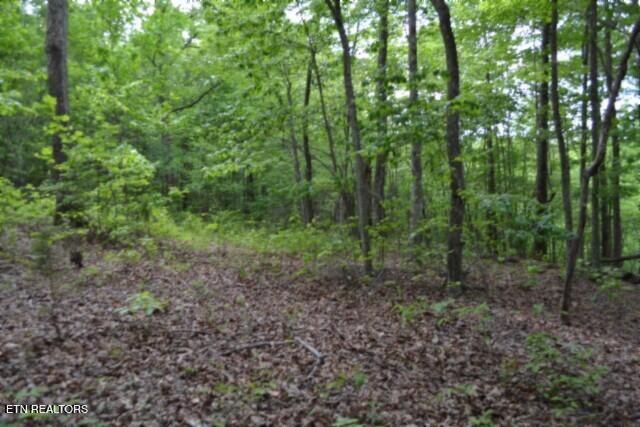 Lot 6 Forest Trails Lane Celina TN 38551