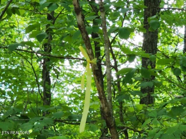Lot 6 Forest Trails Lane Celina TN 38551