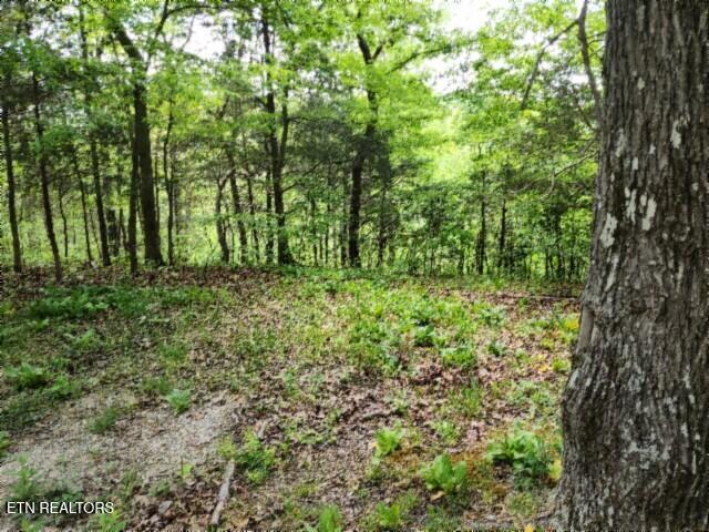 Lot 6 Forest Trails Lane Celina TN 38551
