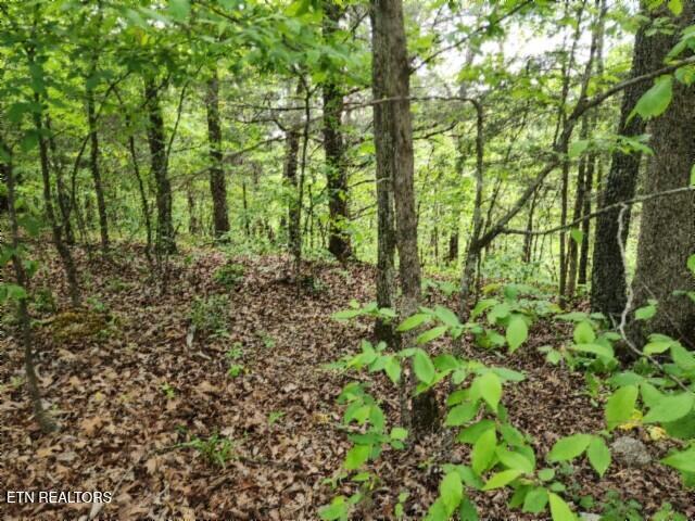 Lot 6 Forest Trails Lane Celina TN 38551