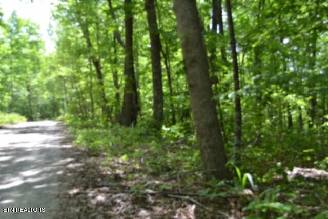 Lot 6 Forest Trails Lane Celina TN 38551