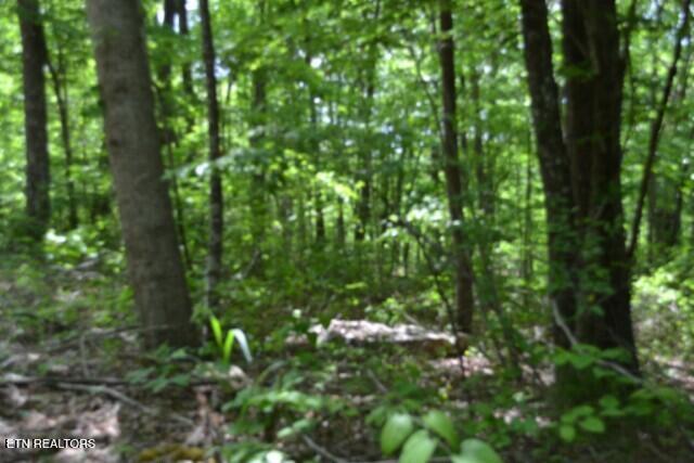 Lot 6 Forest Trails Lane Celina TN 38551