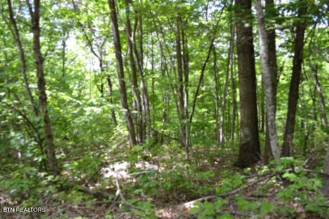 Lot 6 Forest Trails Lane Celina TN 38551