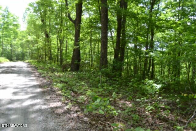 Lot 6 Forest Trails Lane Celina TN 38551