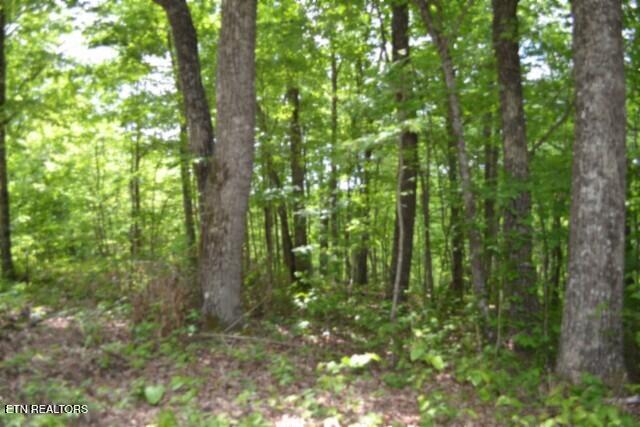 Lot 6 Forest Trails Lane Celina TN 38551