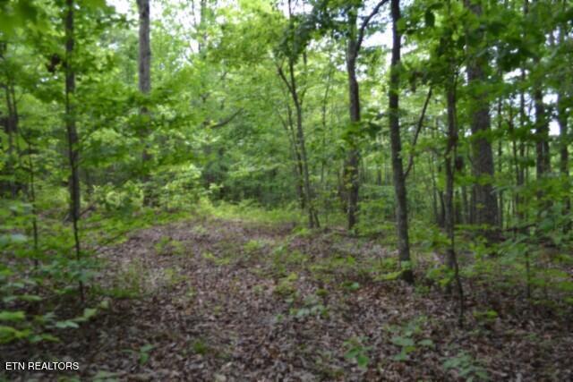 Lot 6 Forest Trails Lane Celina TN 38551