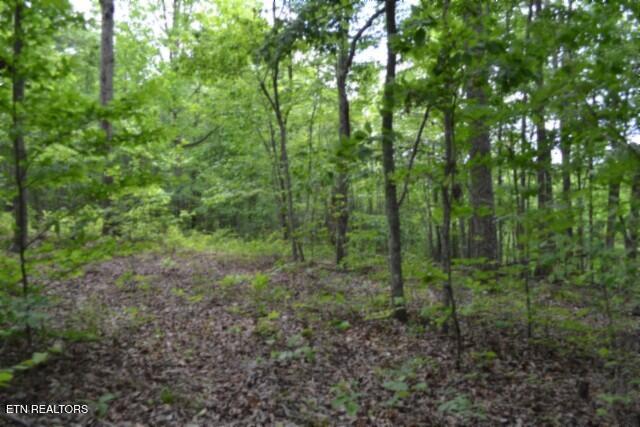 Lot 6 Forest Trails Lane Celina TN 38551