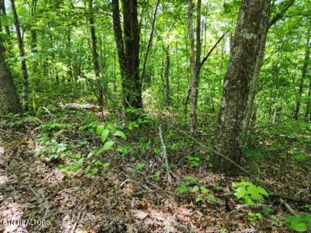 Lot 6 Forest Trails Lane Celina TN 38551