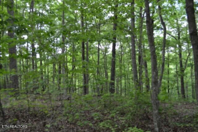 Lot 6 Forest Trails Lane Celina TN 38551