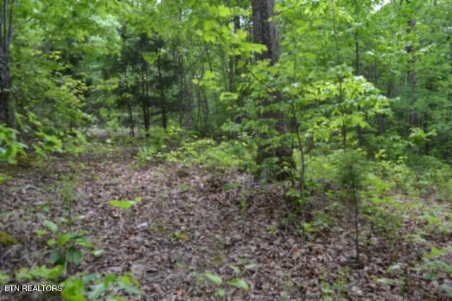 Lot 6 Forest Trails Lane Celina TN 38551