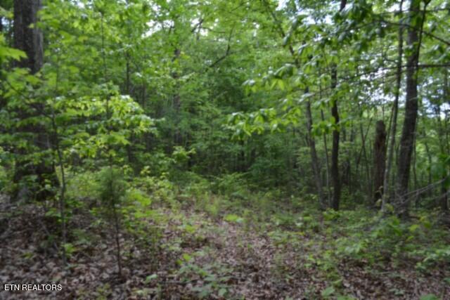Lot 6 Forest Trails Lane Celina TN 38551