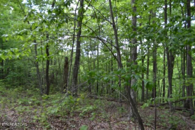 Lot 6 Forest Trails Lane Celina TN 38551