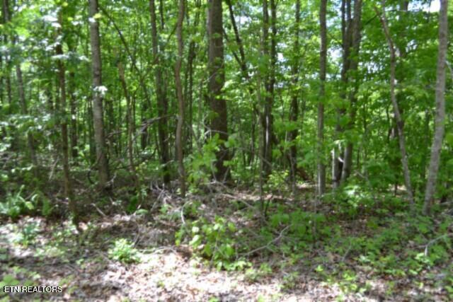 Lot 6 Forest Trails Lane Celina TN 38551