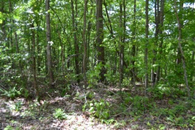 Lot 6 Forest Trails Lane Celina TN 38551