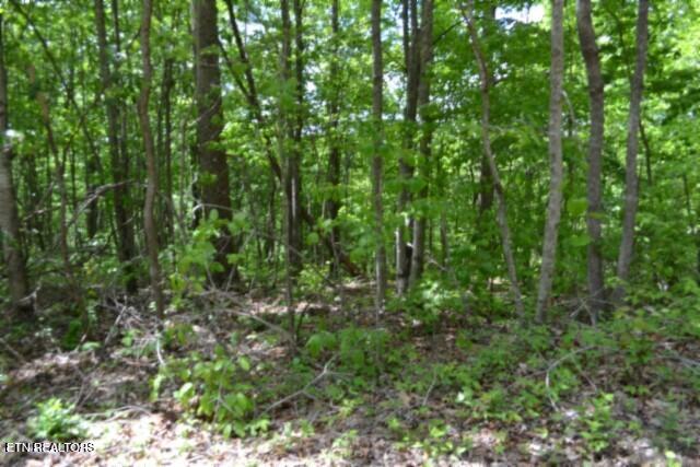 Lot 6 Forest Trails Lane Celina TN 38551