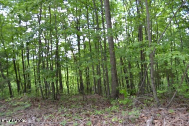 Lot 6 Forest Trails Lane Celina TN 38551