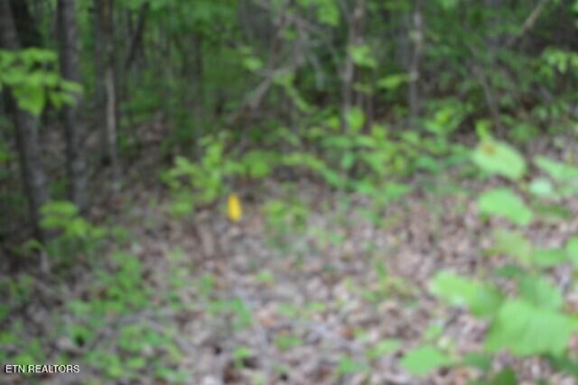 Lot 6 Forest Trails Lane Celina TN 38551