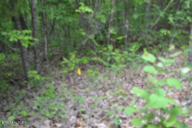 Lot 6 Forest Trails Lane Celina TN 38551
