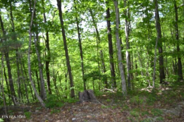 Lot 6 Forest Trails Lane Celina TN 38551