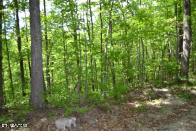 Lot 6 Forest Trails Lane Celina TN 38551