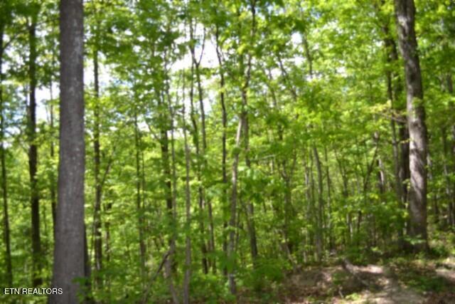 Lot 6 Forest Trails Lane Celina TN 38551