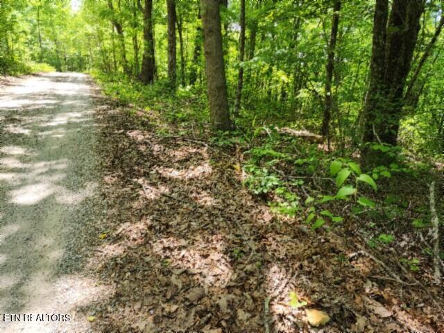 Lot 6 Forest Trails Lane Celina TN 38551