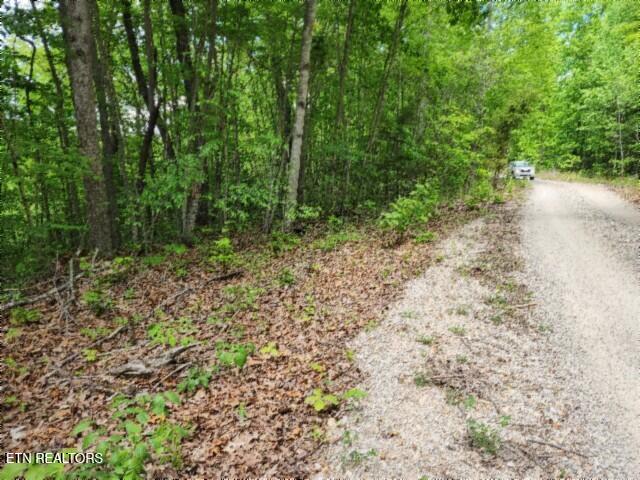 Lot 6 Forest Trails Lane Celina TN 38551