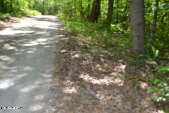 Lot 6 Forest Trails Lane Celina TN 38551