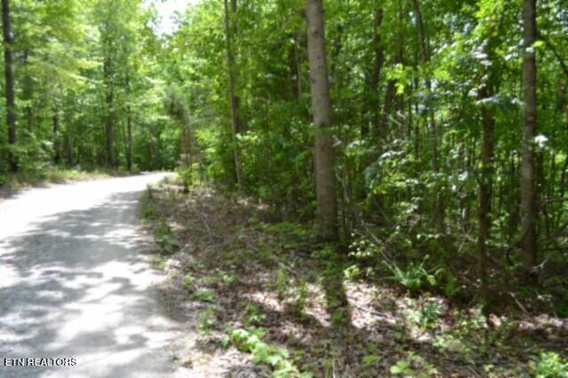 Lot 6 Forest Trails Lane Celina TN 38551