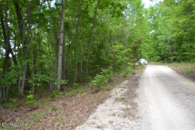 Lot 6 Forest Trails Lane Celina TN 38551