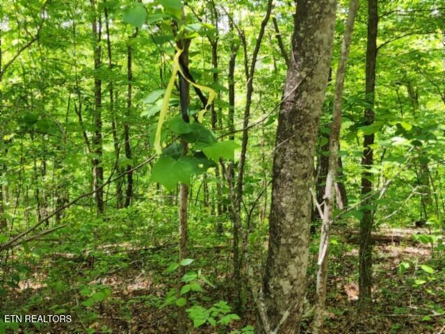Lot 6 Forest Trails Lane Celina TN 38551