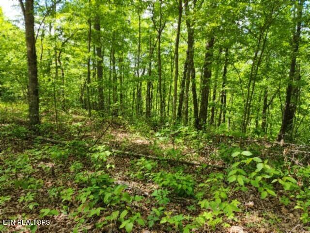 Lot 6 Forest Trails Lane Celina TN 38551